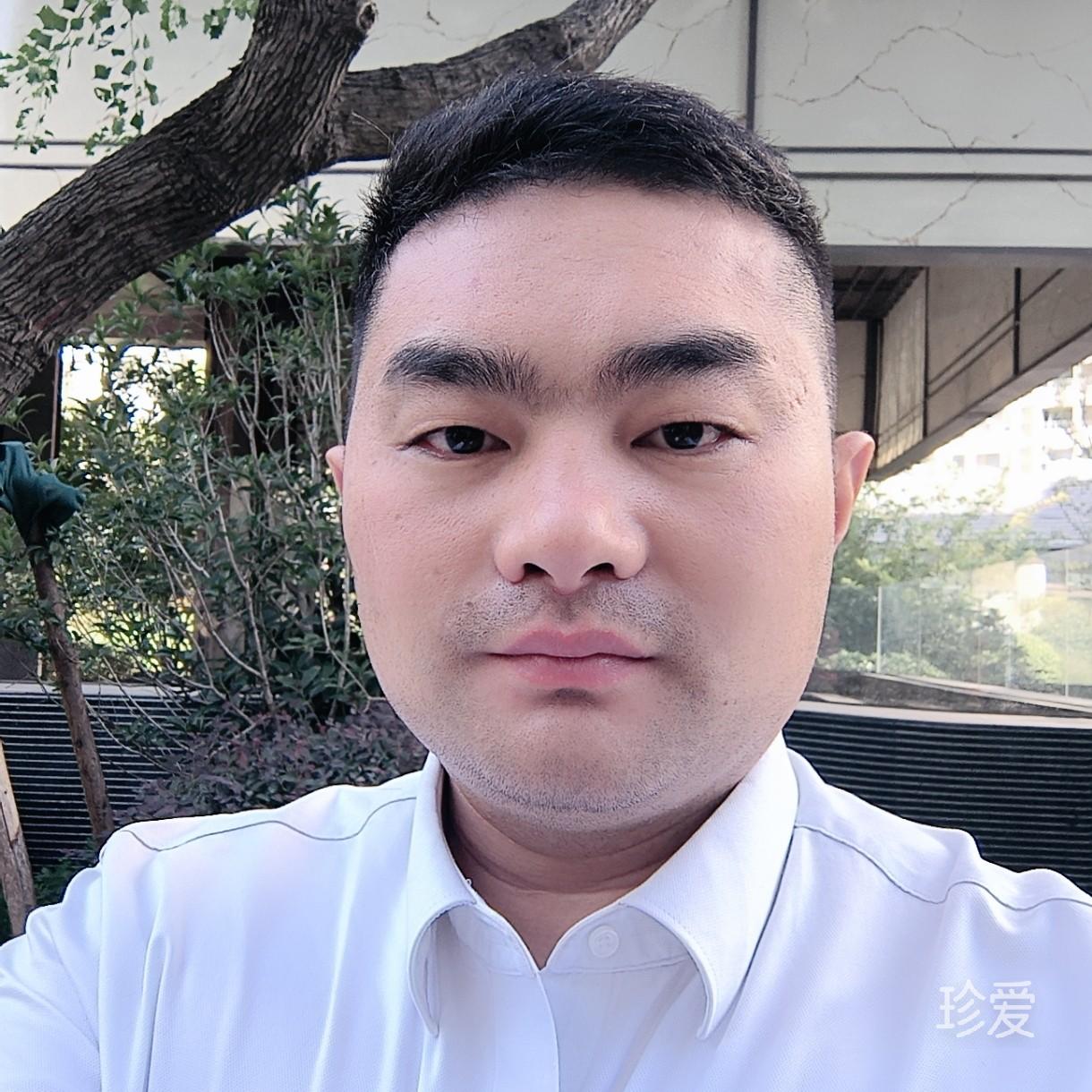一只鹅