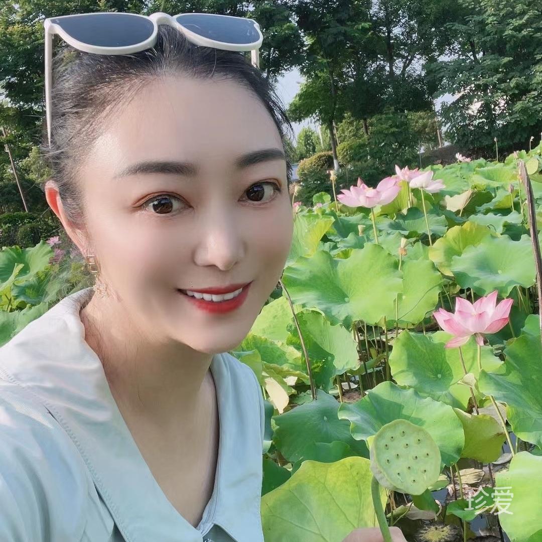 风的向往