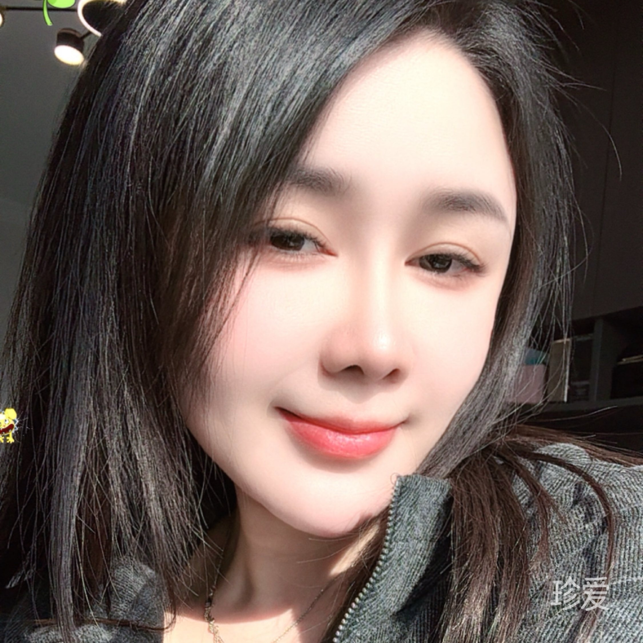 蝴蝶花