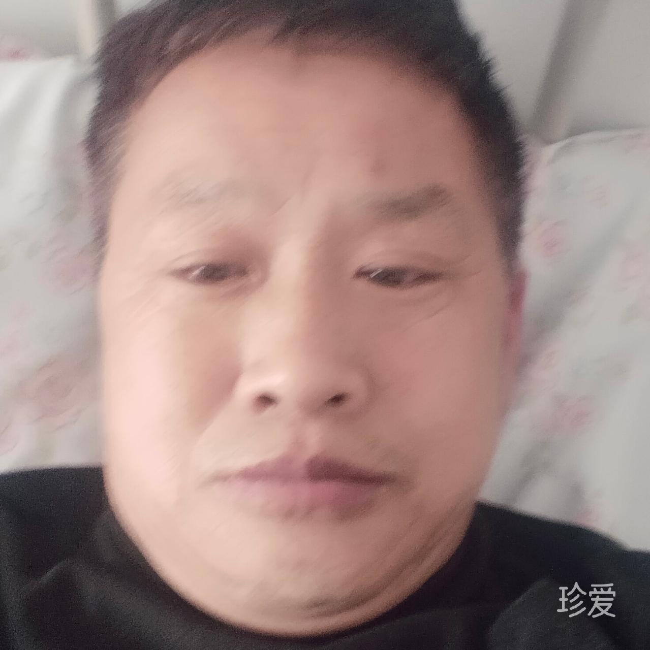 寻真爱