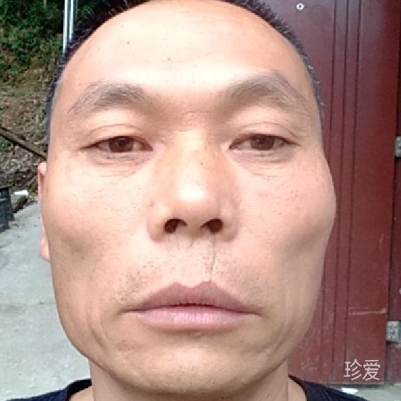 五加白大樹(shù)底下好