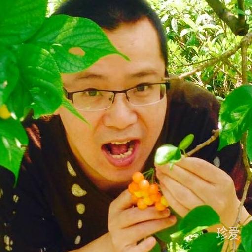 美食追求者
