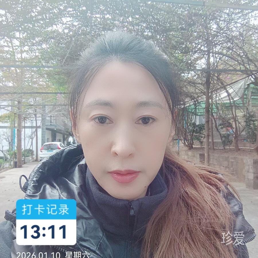 晴芷安然
