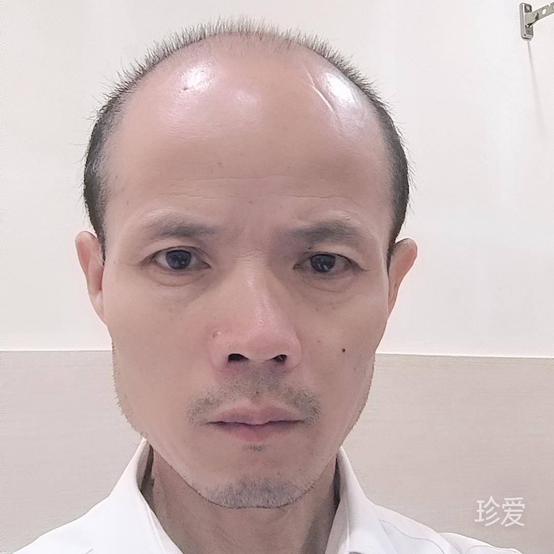 一枝一叶