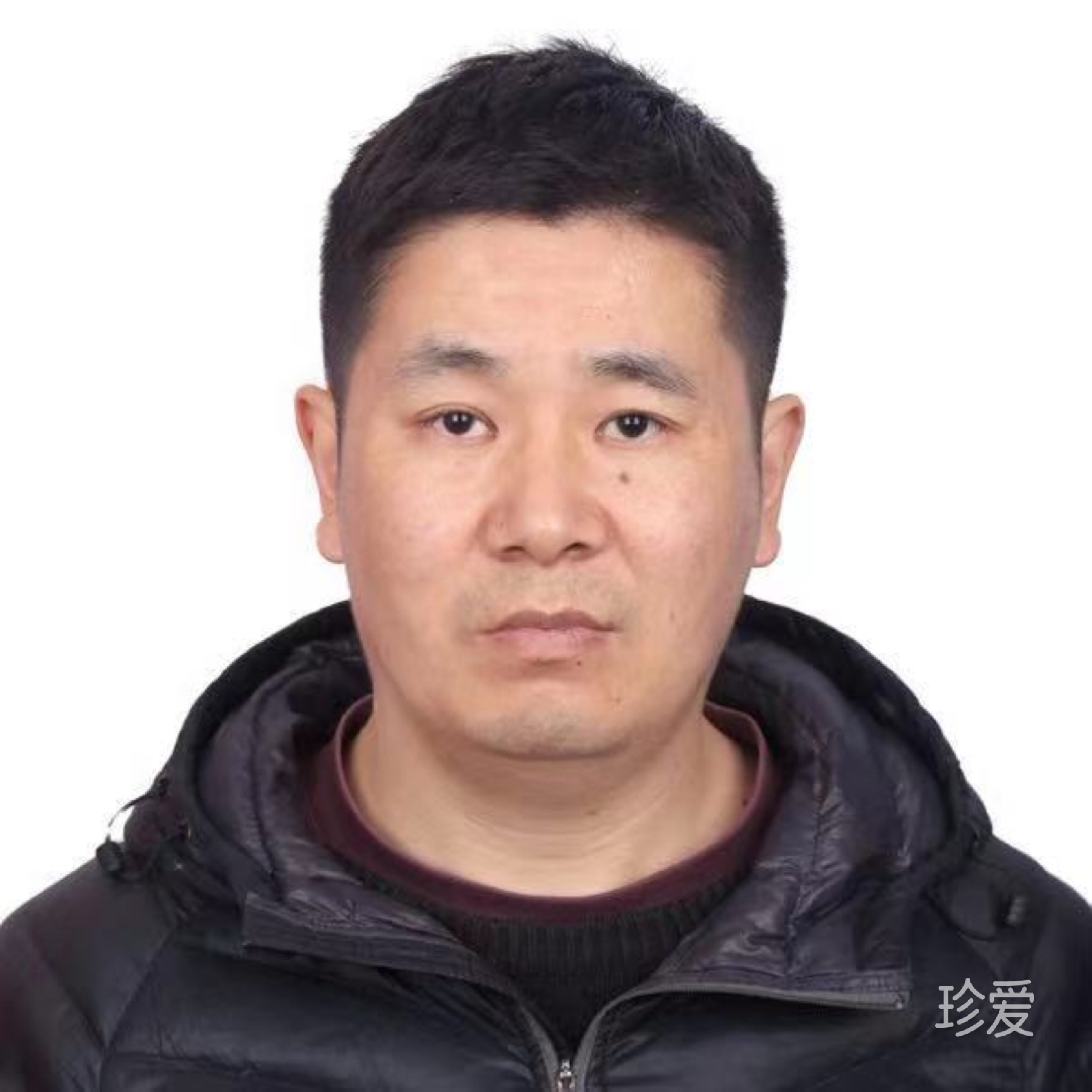 掠过秋天的兔子