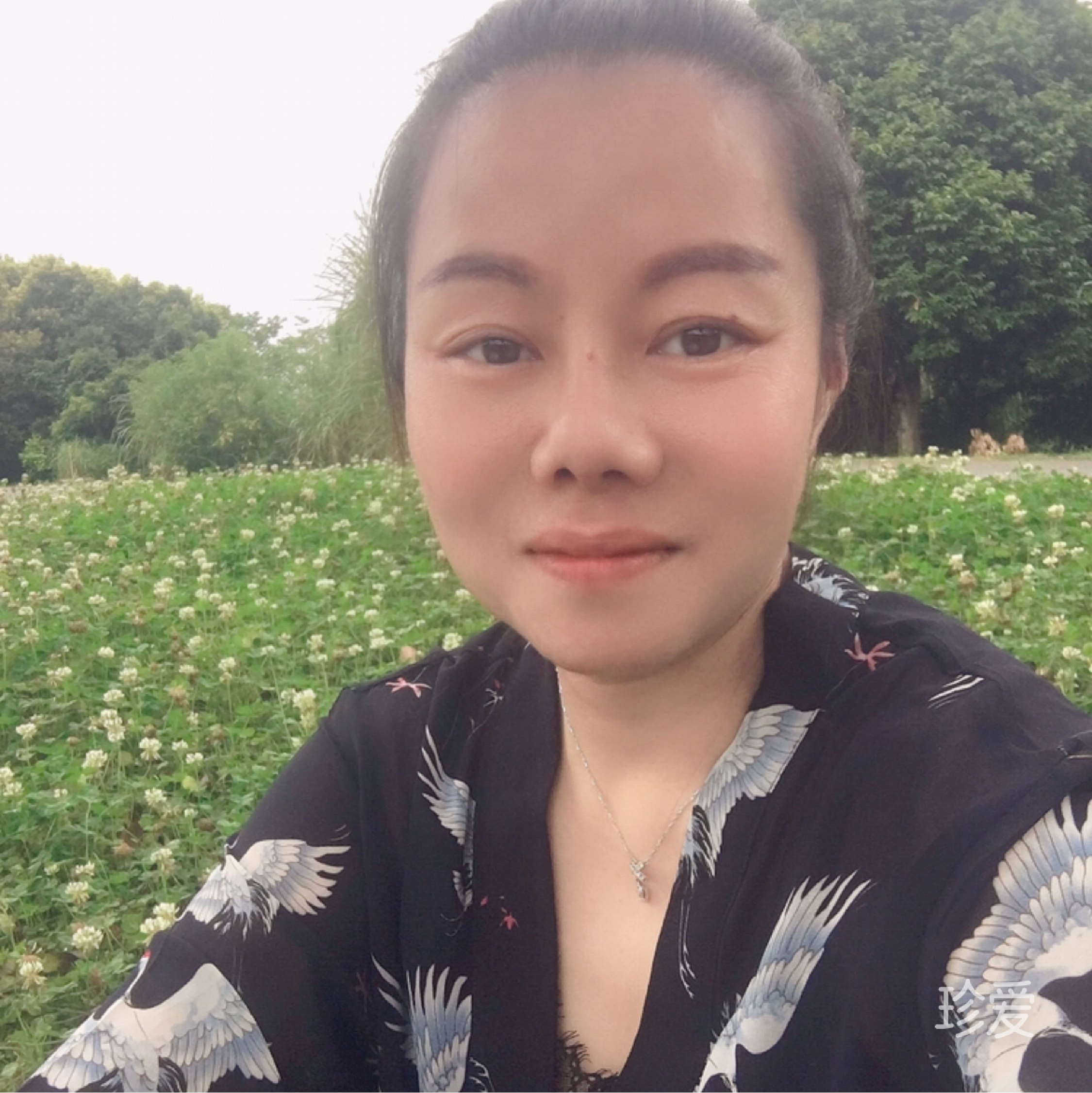 玳漪
