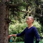 后來的我們