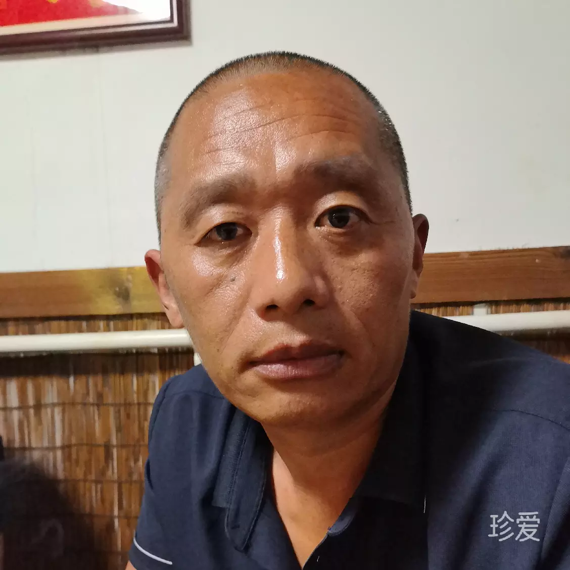 今非惜日