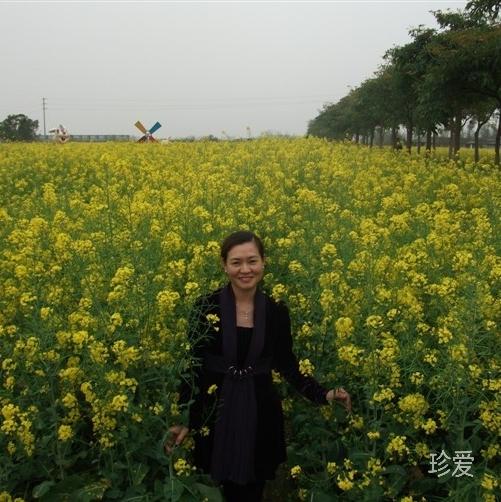依晨诺妮