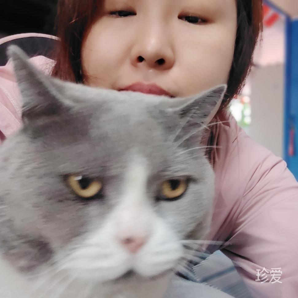 迎春满天