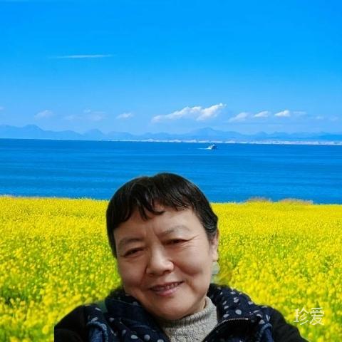 沁琴