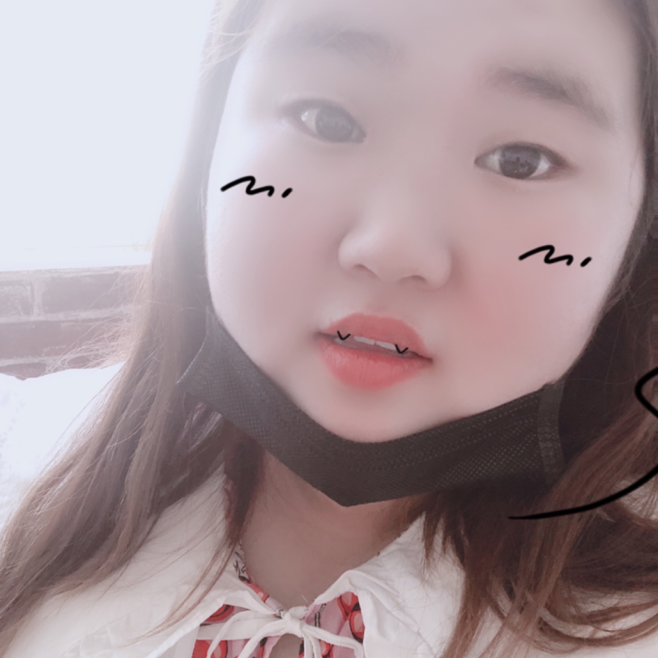 栅栏下的折耳猫