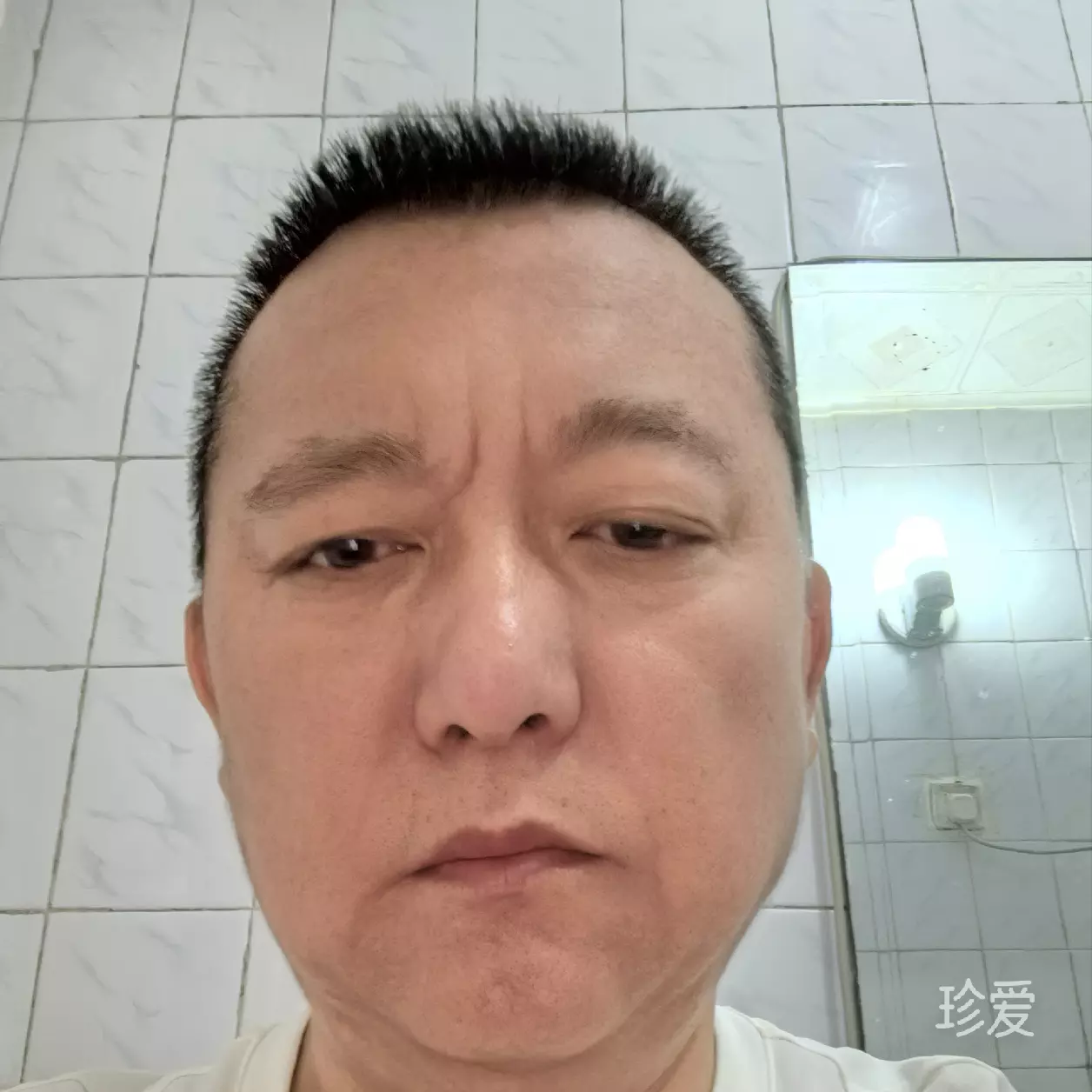 盾牌
