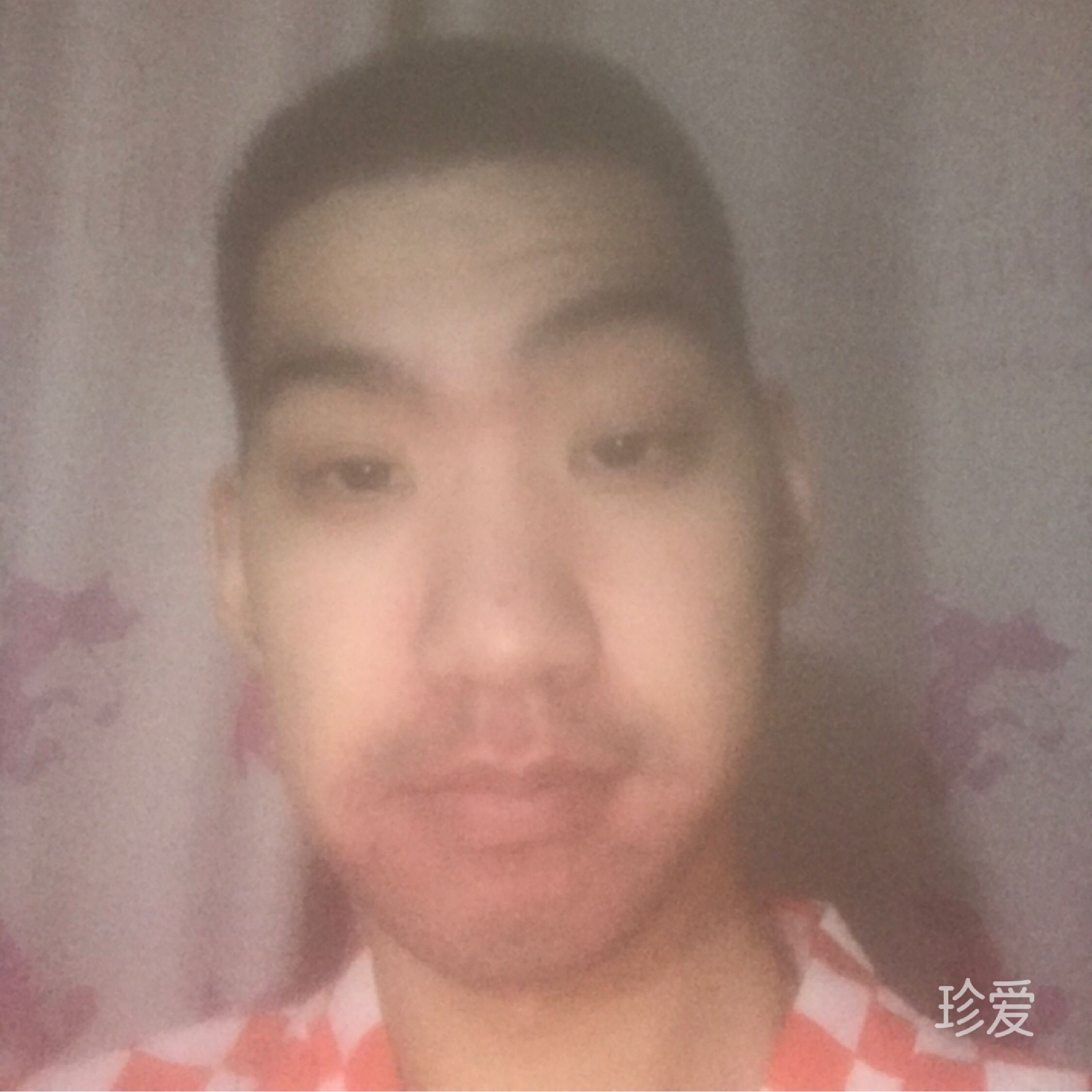 小熊