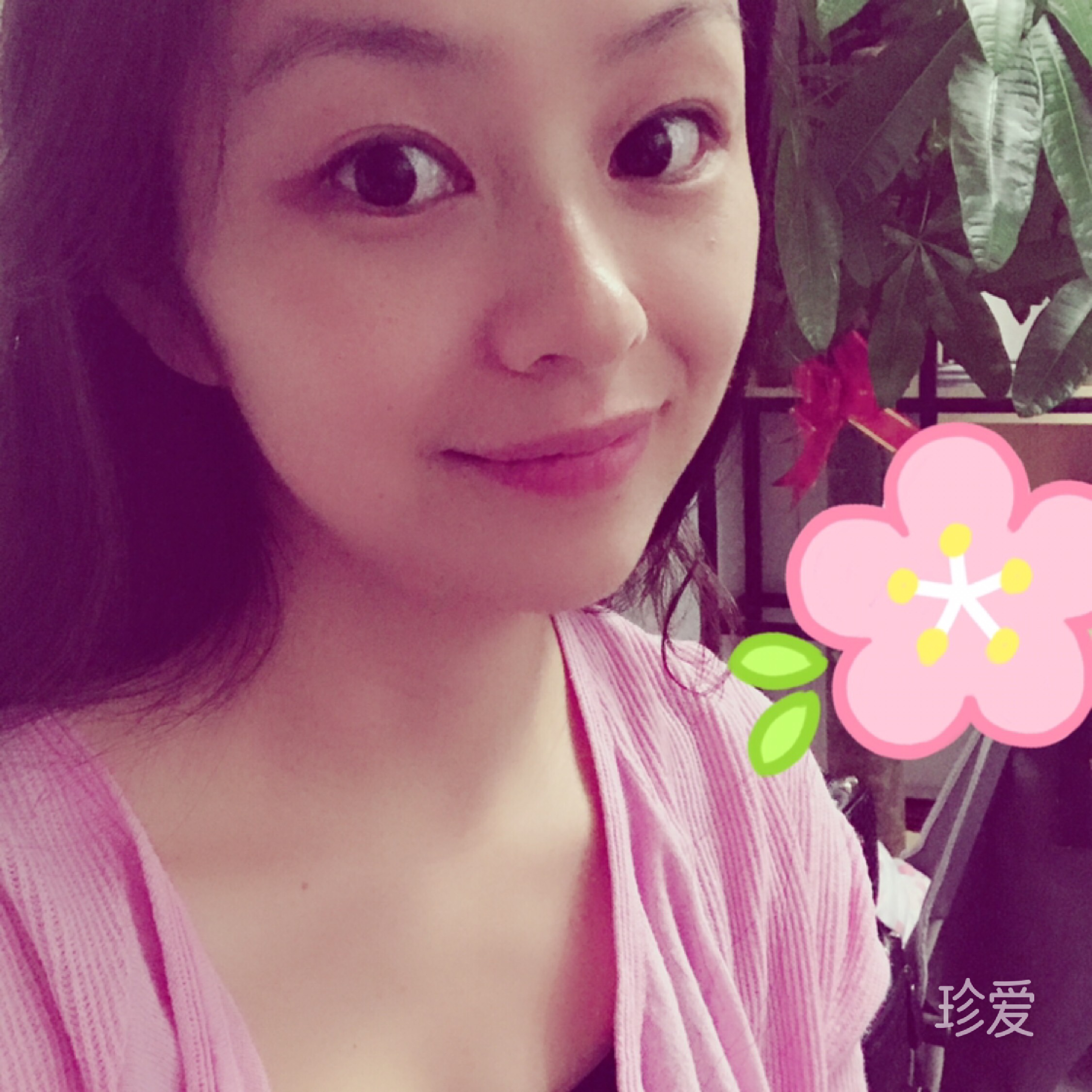 羊羊羊