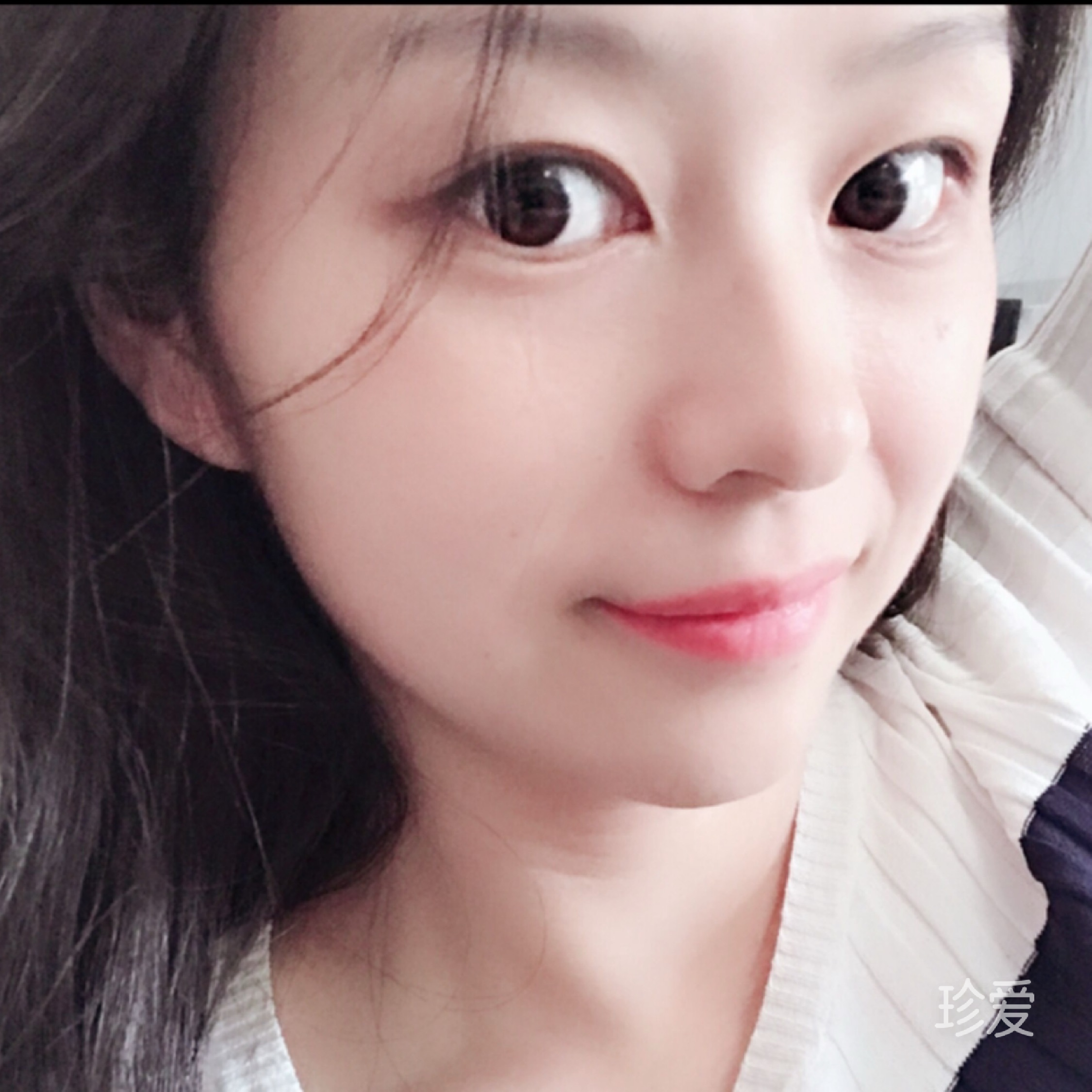 羊羊羊