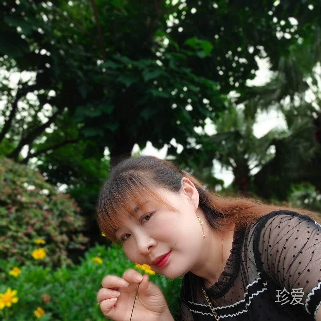 小谗猫