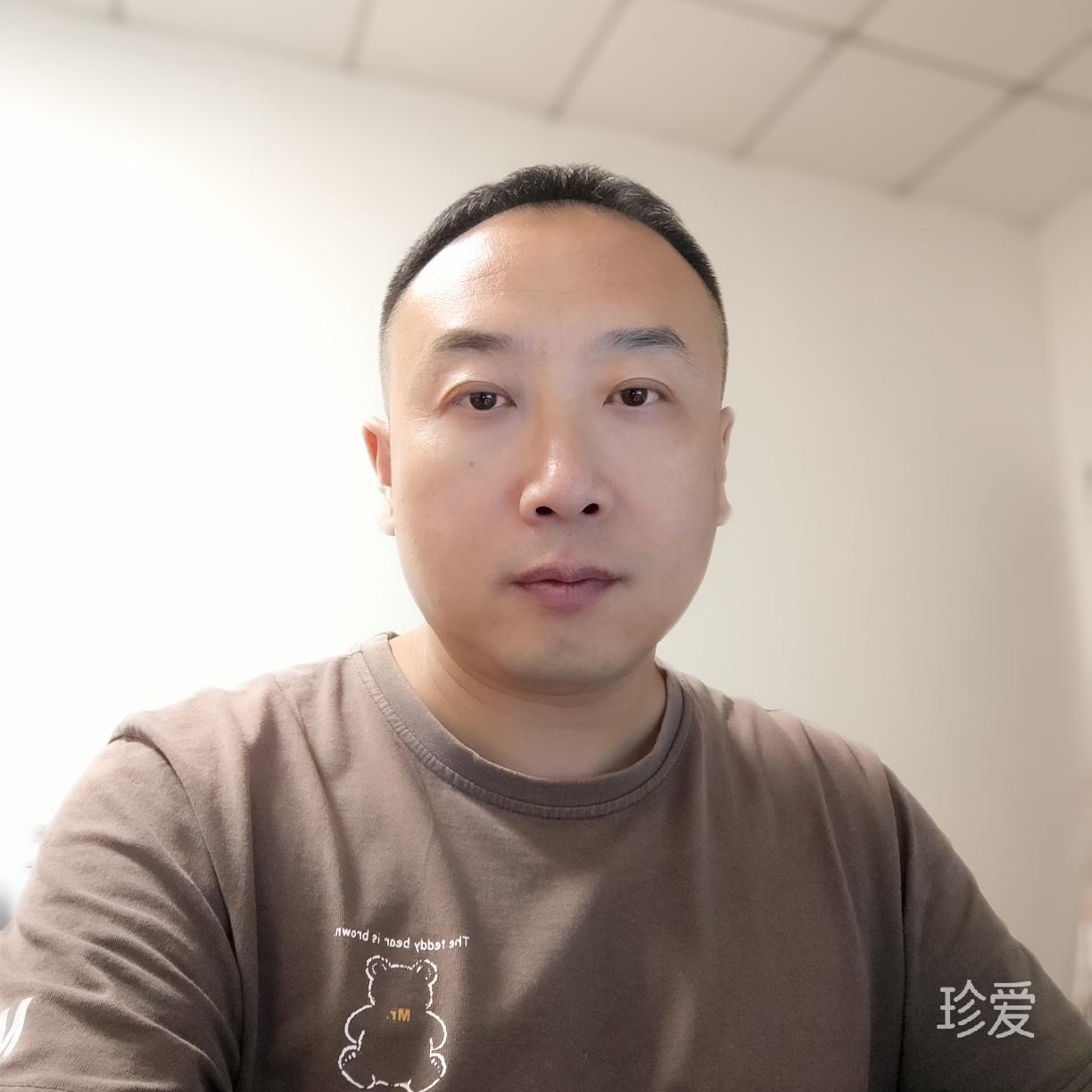 自由的海豚