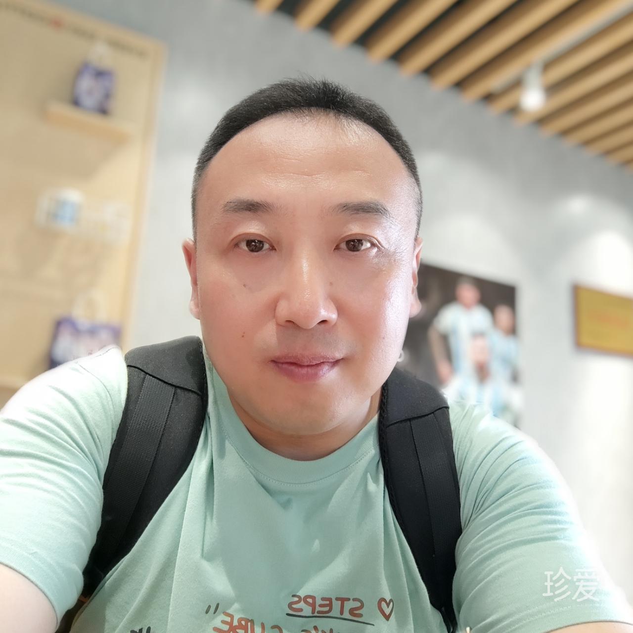 自由的海豚