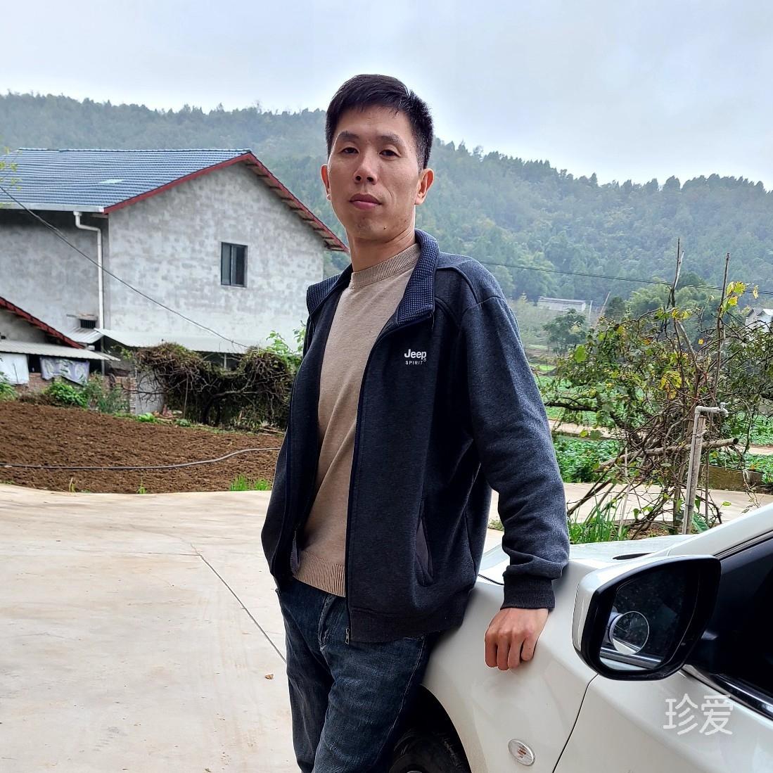 清晨的霜