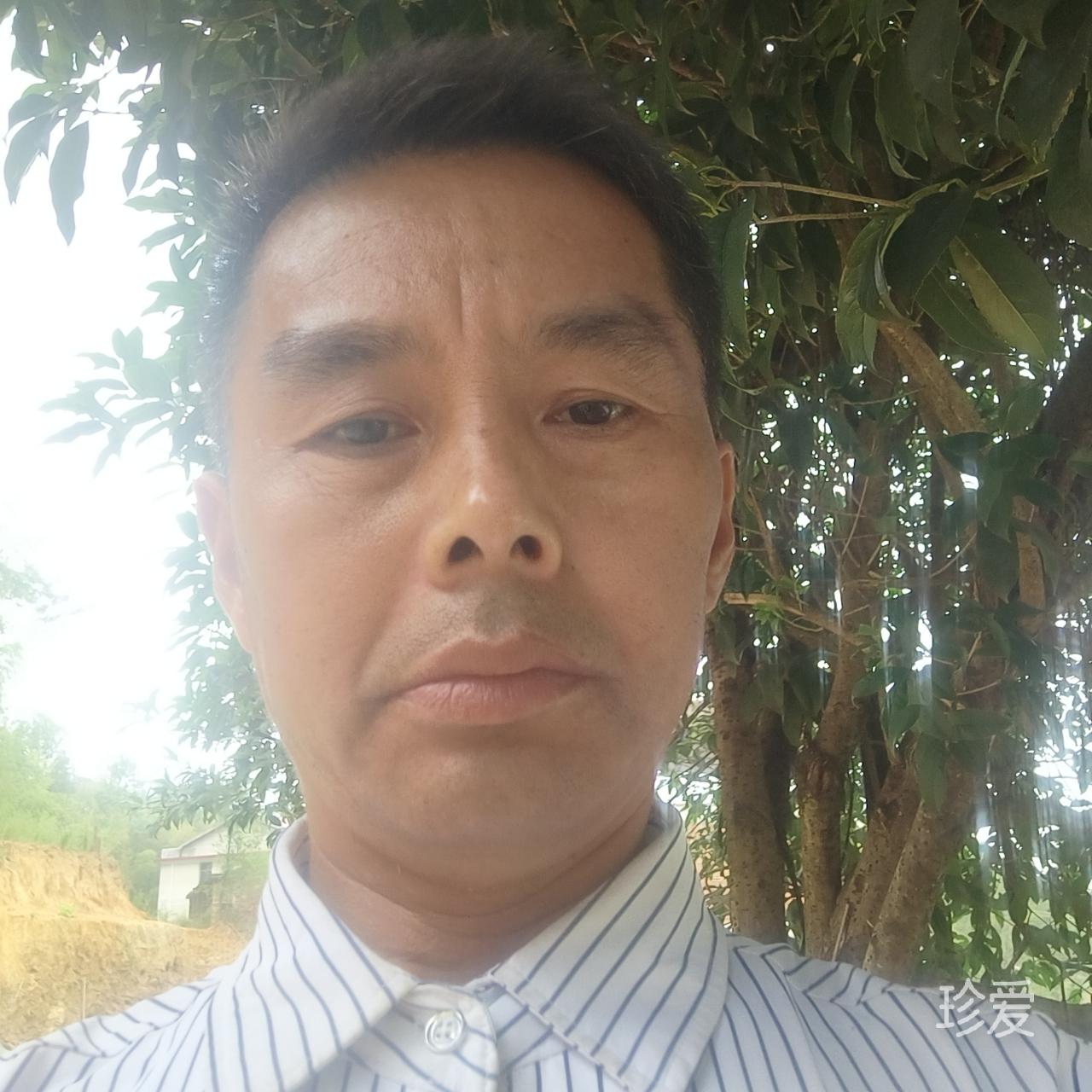 尋找真愛的神鷹