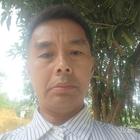 尋找真愛的神鷹