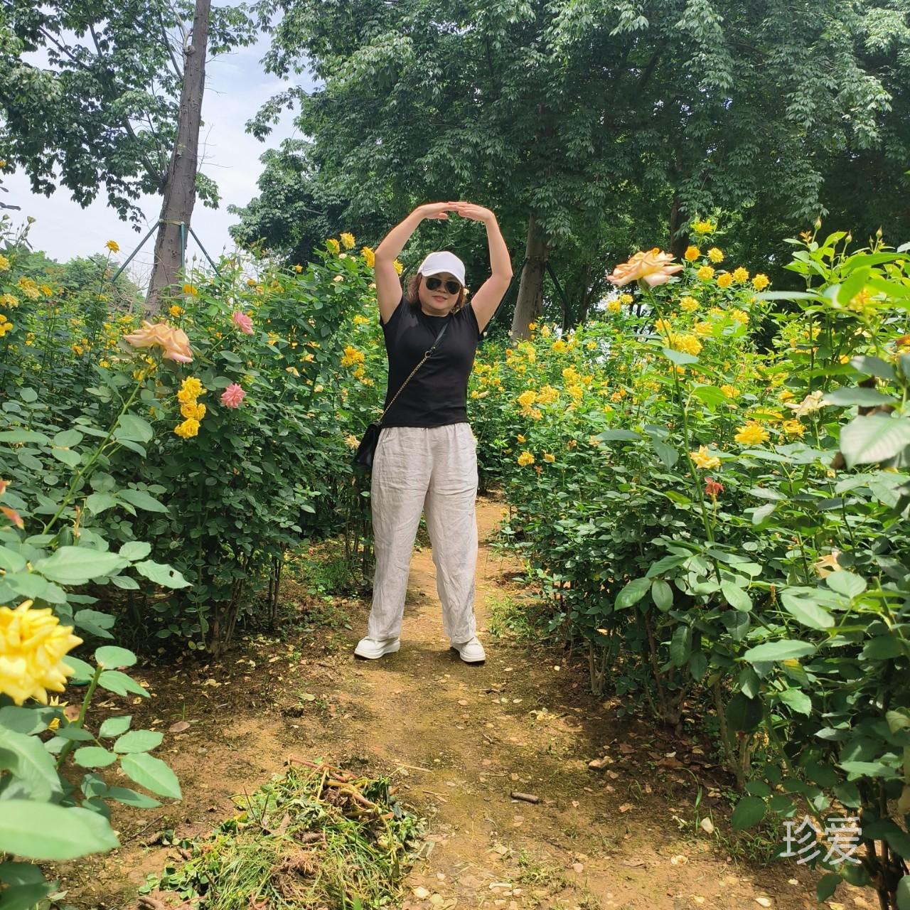 守候宁静