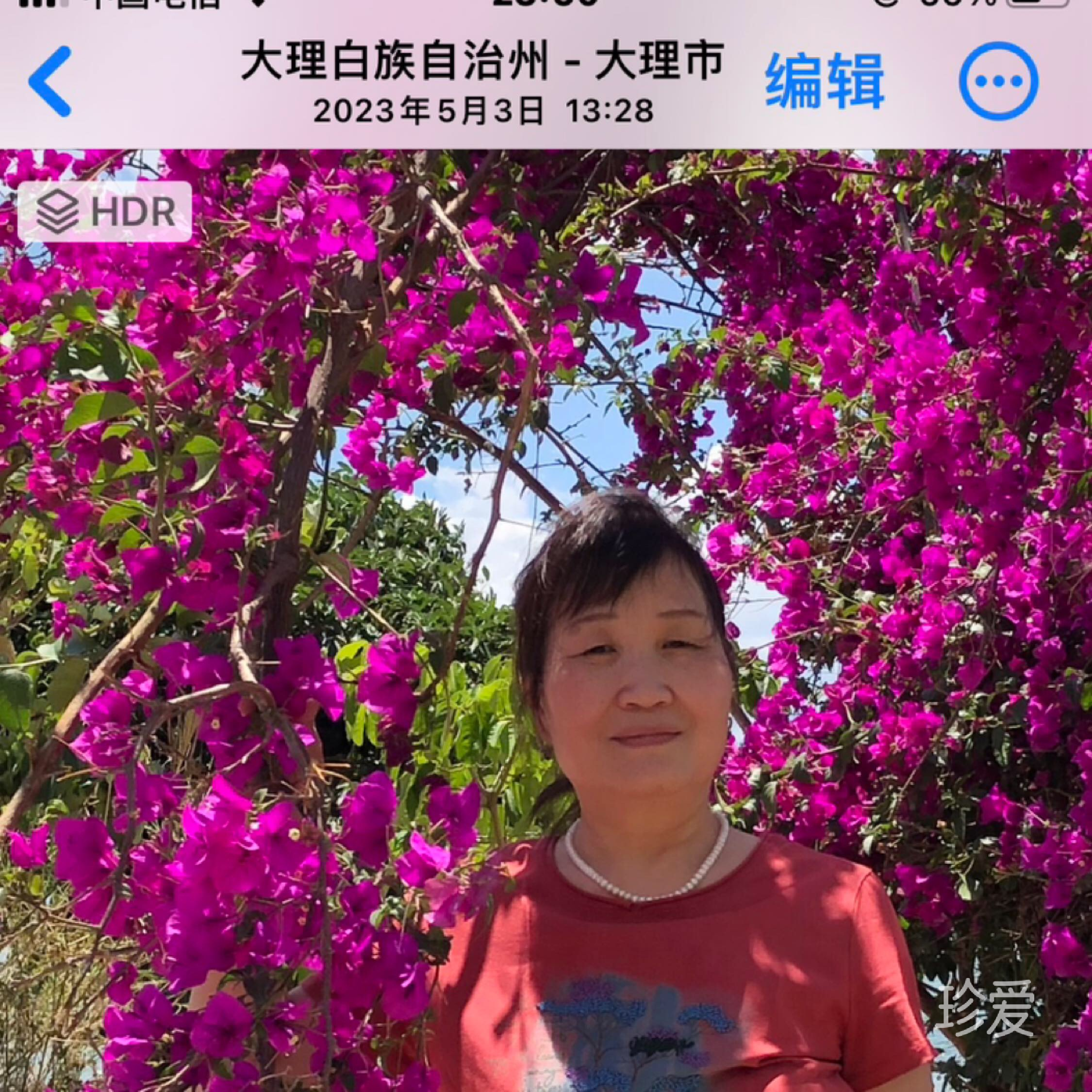 紫缘