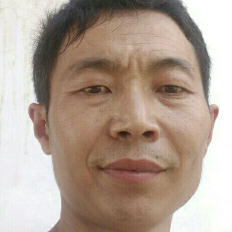 你不離我定不棄