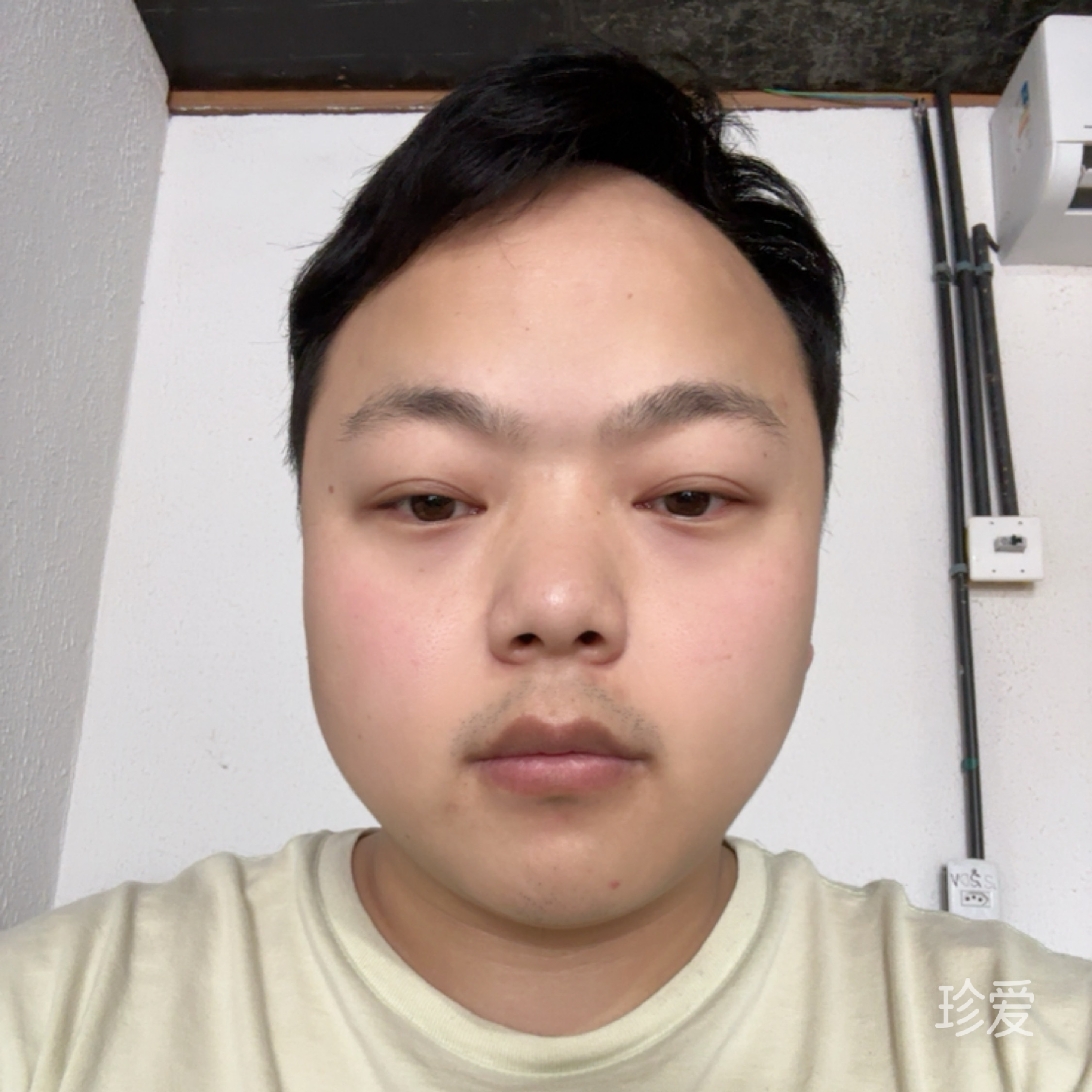 快奔牛牛