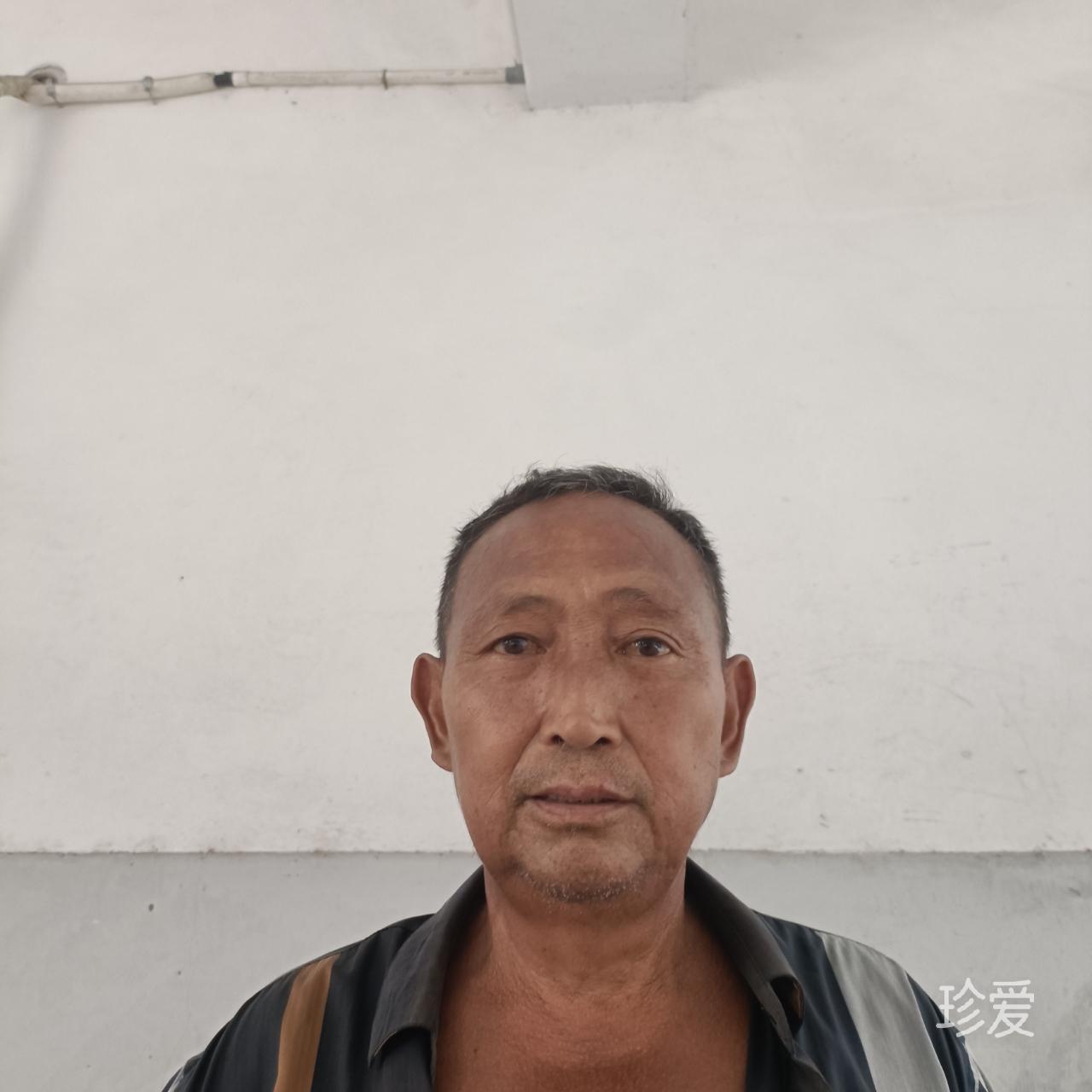 冻动东冬懂