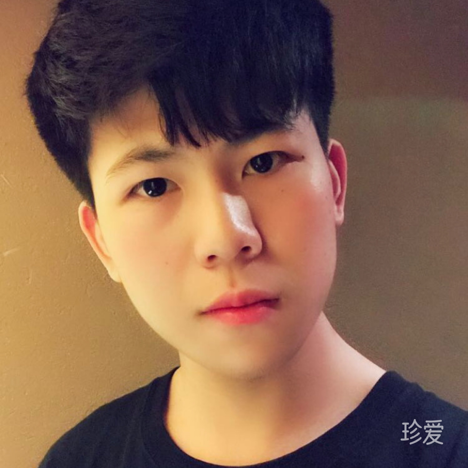 眞质