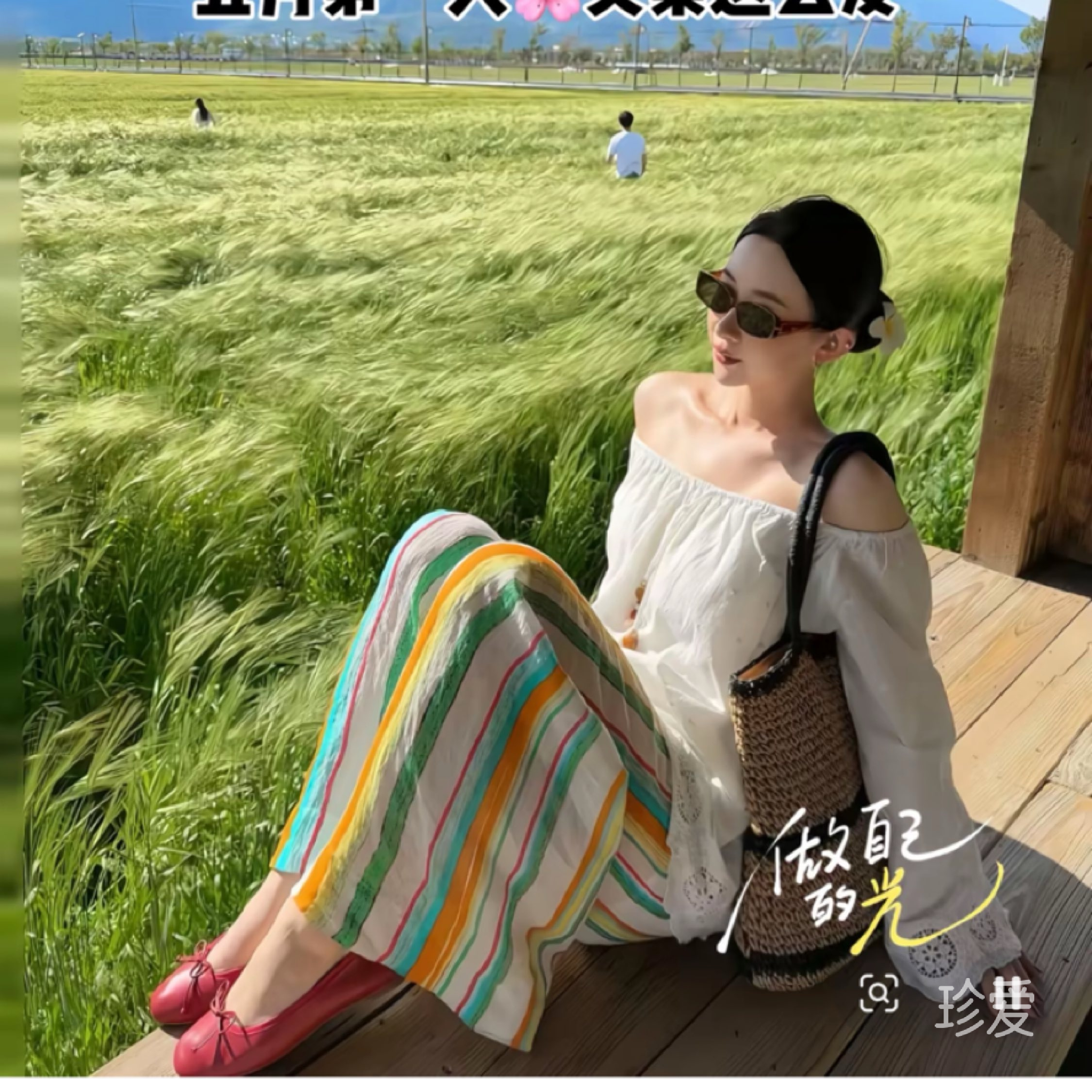 小鱼的爱
