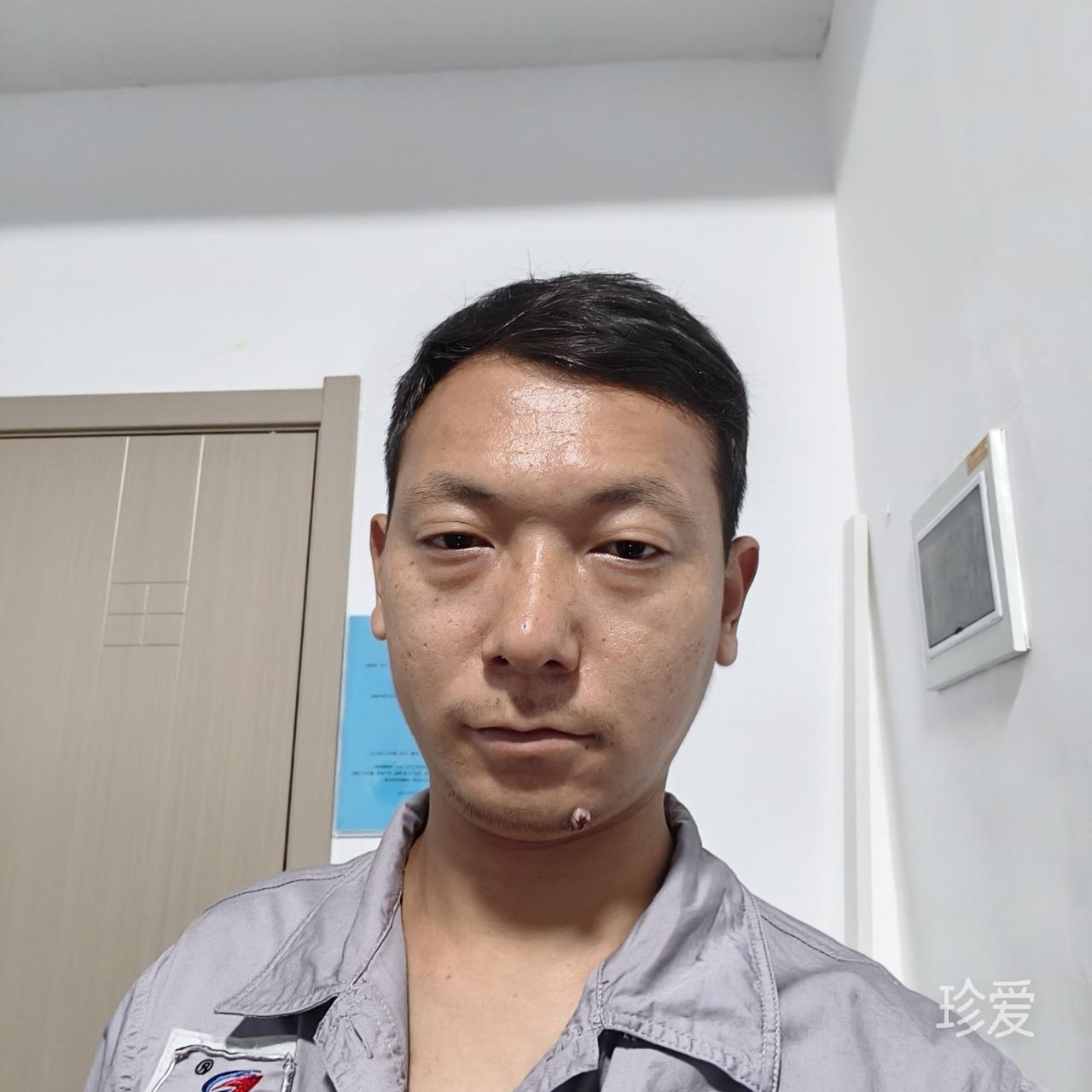山羊