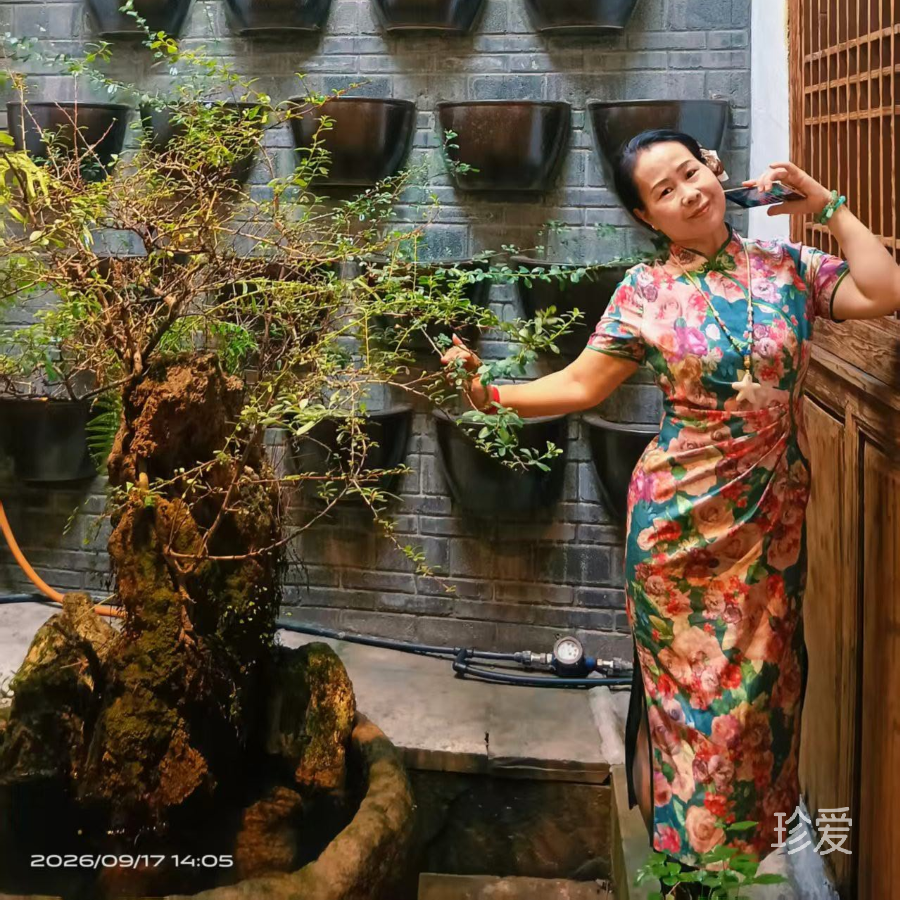 群游西子