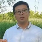 云飛
