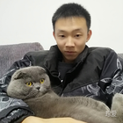 倔強(qiáng)貓