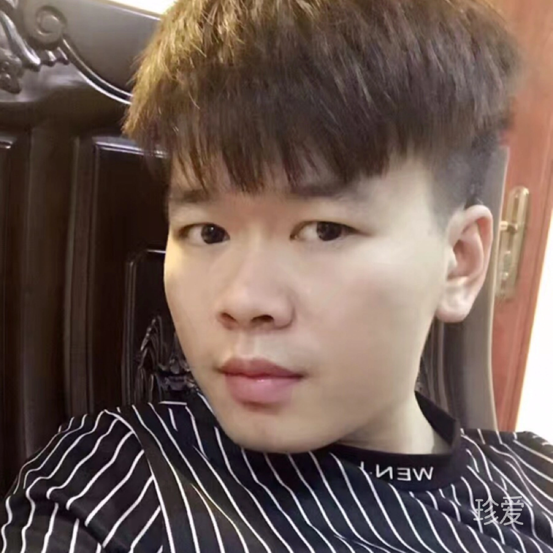 豪叔