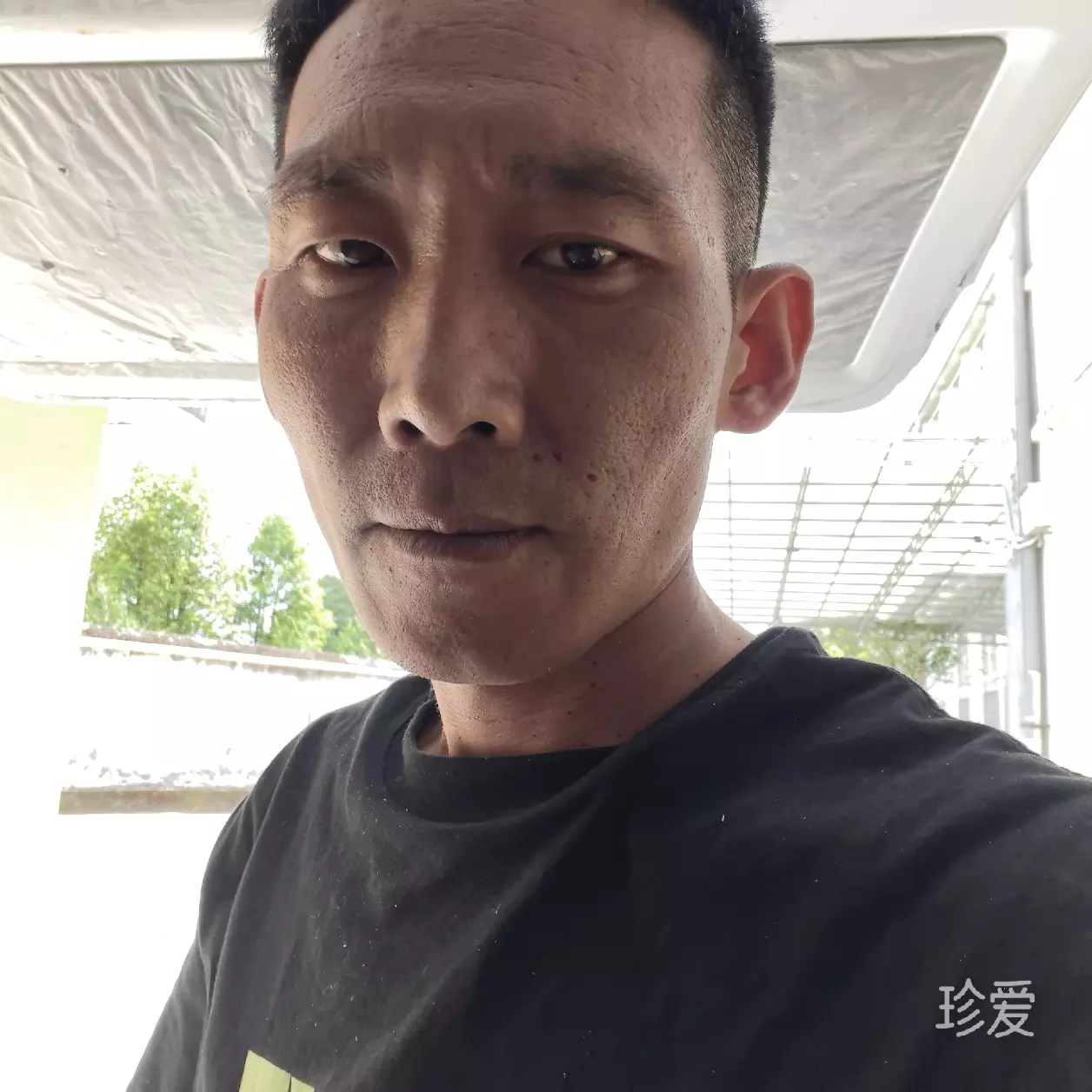封心锁爱