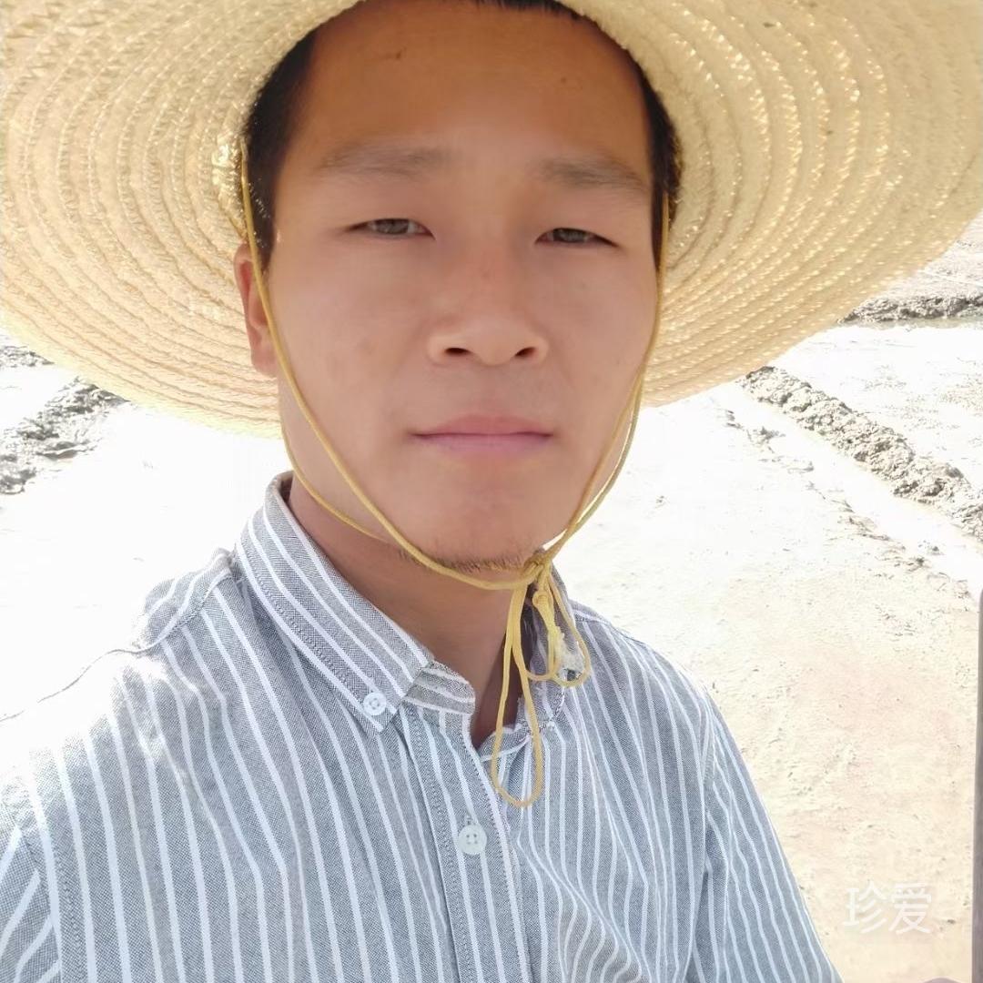 侯鸟