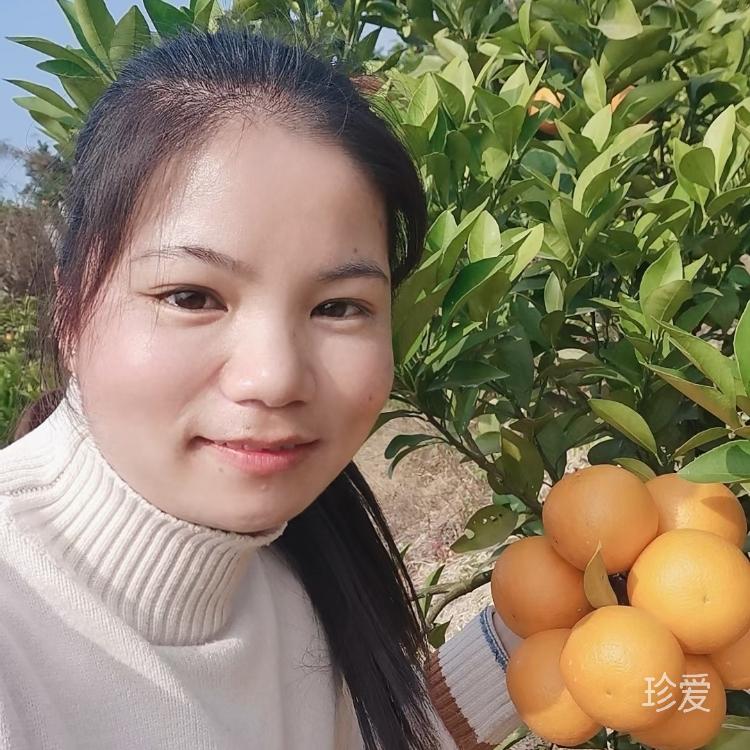 丽新