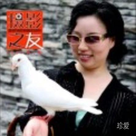灵芝姐姐