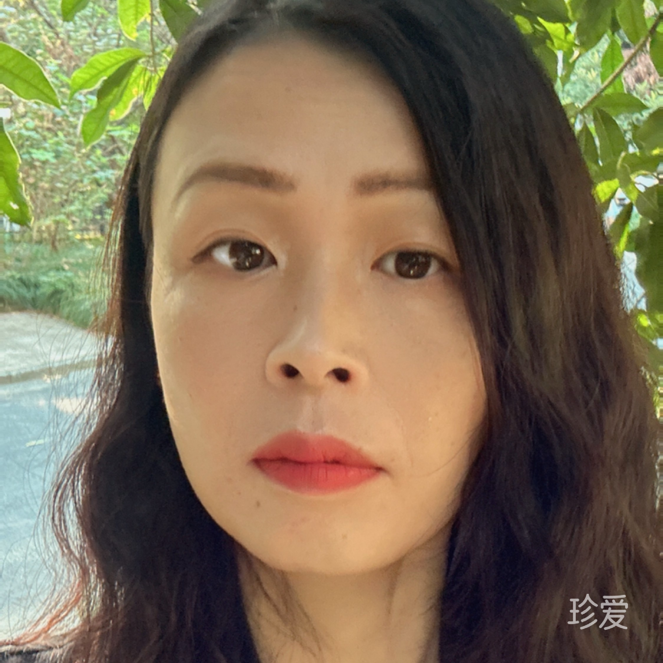 丹丹