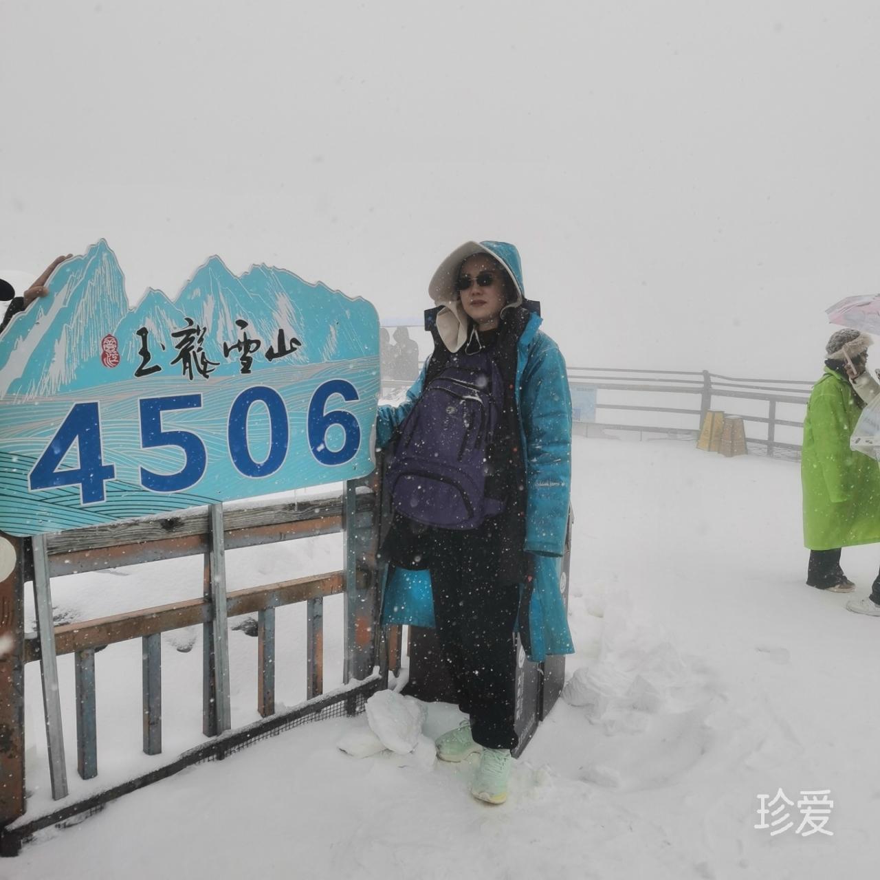 高山上的茉莉