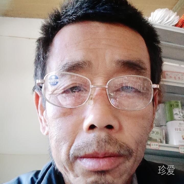 爱不悔