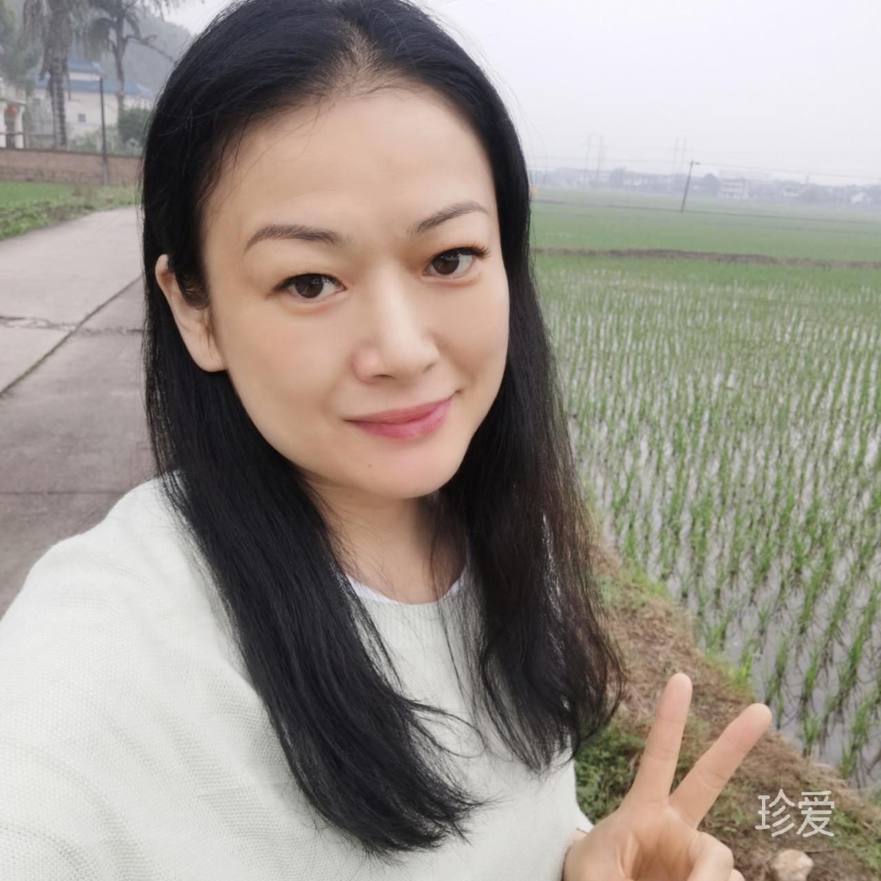 琴禾安