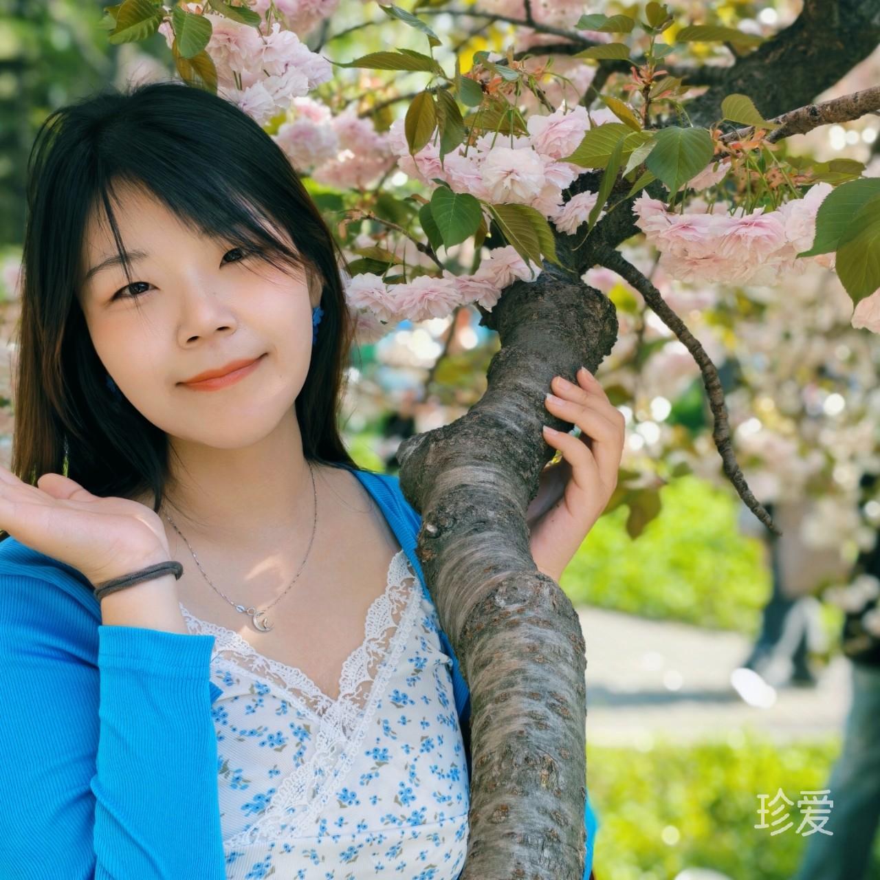 翼翼