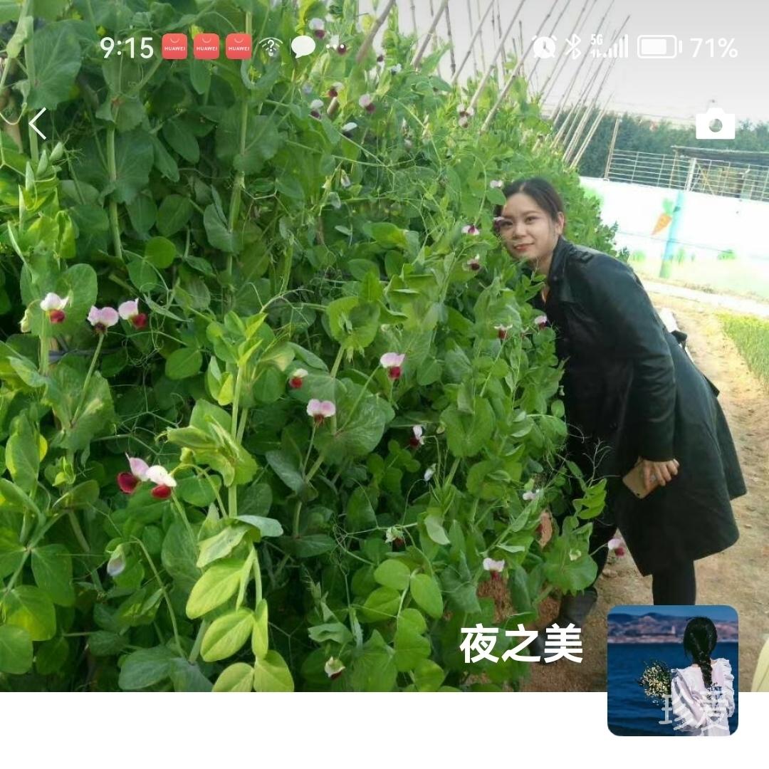 夜之美