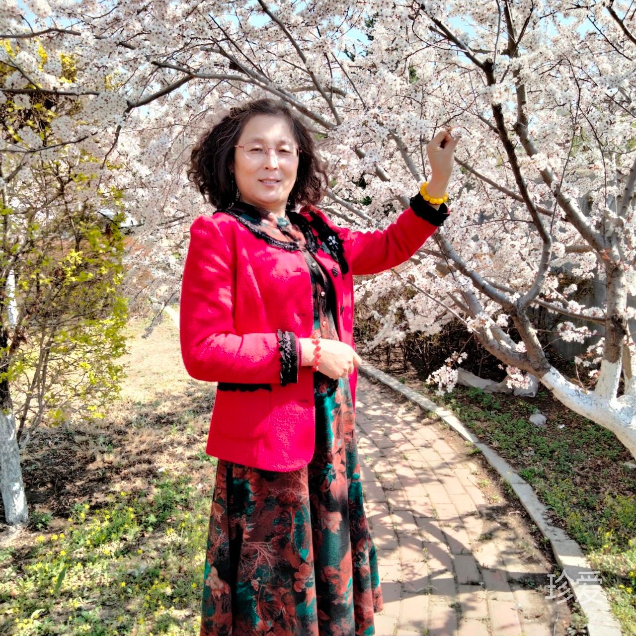 無憂無慮的燕子