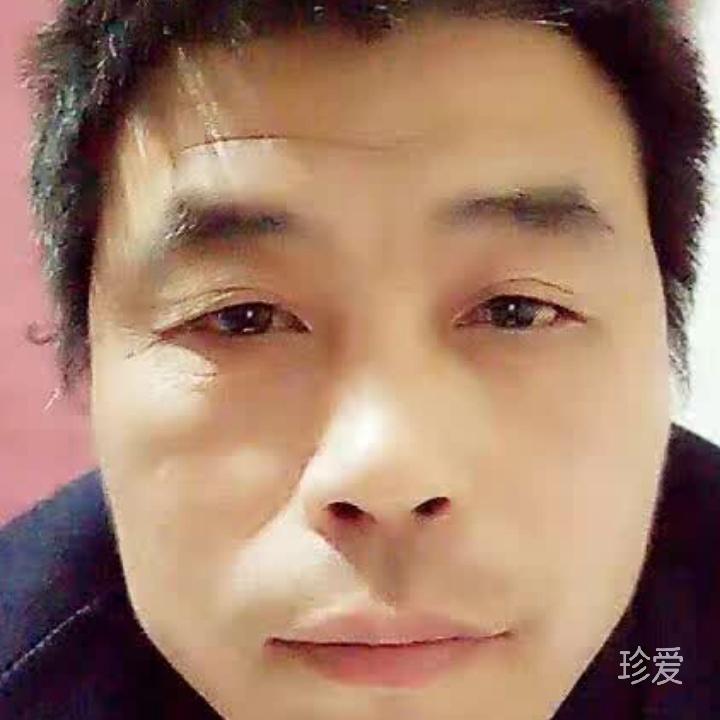 醉青枫
